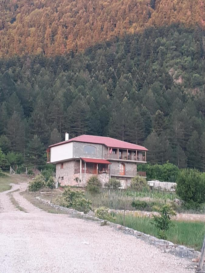 Bujtina Vila Dodo Leskovik Exterior foto