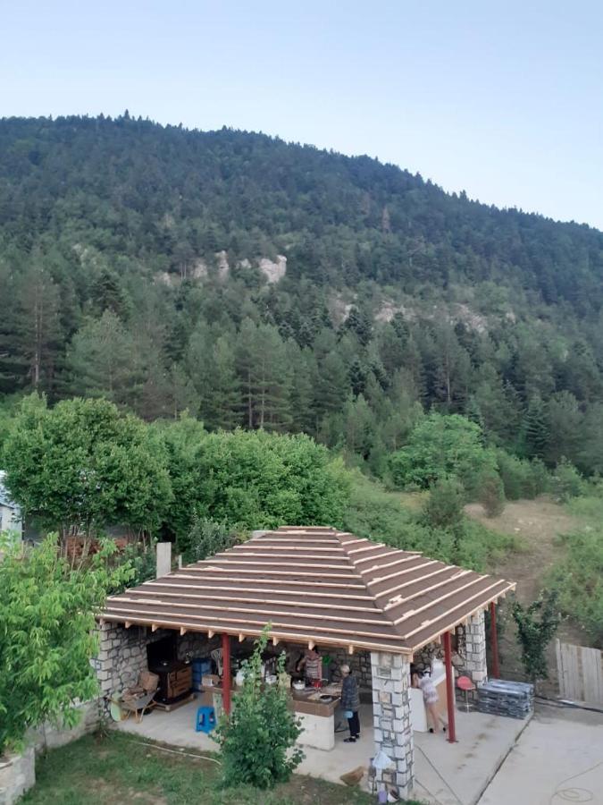 Bujtina Vila Dodo Leskovik Exterior foto