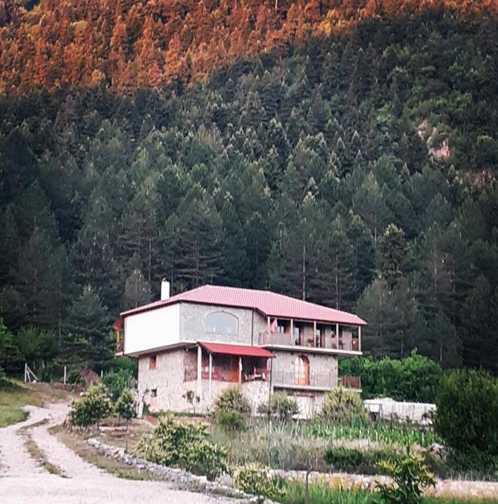 Bujtina Vila Dodo Leskovik Exterior foto